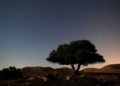Lluvia de meteoros de las Perseidas iluminará el cielo nocturno de Israel