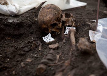 Esqueleto de hace 7.200 años revela un grupo humano desconocido hasta ahora