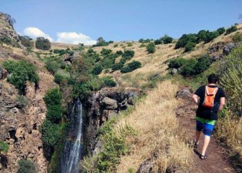 Israelíes deben mantenerse alejados de 11 arroyos debido a la alta contaminación