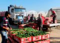 Israel permitirá la entrada de comerciantes de Gaza por primera vez en 18 meses