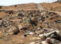 Los vertederos ilegales en el Néguev son “terrorismo ecológico”