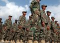 ¿Por qué el Ejército Nacional Afgano está actuando de forma tan deficiente?