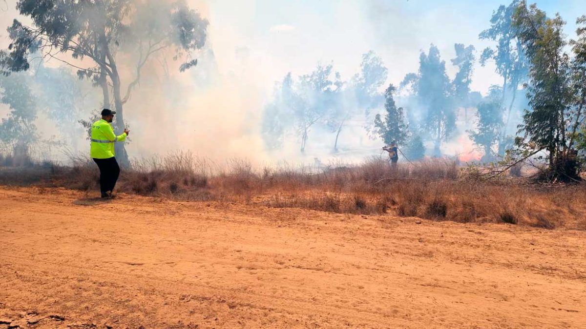 Globos incendiarios de Gaza provocan dos incendios en el sur de Israel