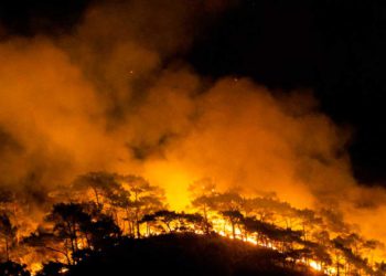 Israel ofrece ayuda a Grecia en su lucha contra los incendios forestales