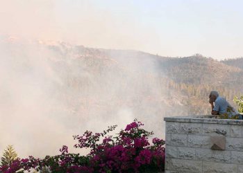 El incendio en los montes de Jerusalén está siendo controlado