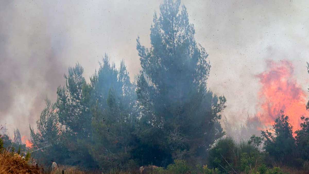 Evacuación de un barrio de Jerusalén por un incendio fuera de control
