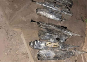 Las FDI frustran un intento de contrabando de armas