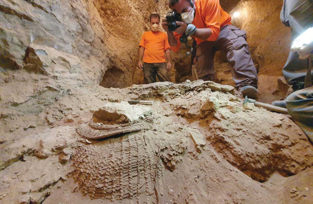 ¿Cuáles fueron los avances arqueológicos de Israel durante la pandemia?