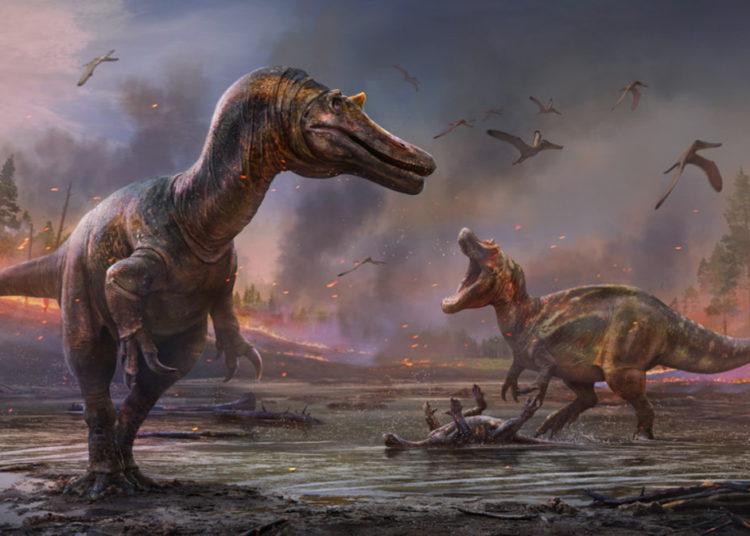 Descubren en Inglaterra fósiles de dos dinosaurios hasta ahora desconocidos