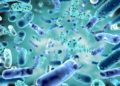 Científicos israelíes desarrollan una “arma antibacteriana” que elimina gérmenes