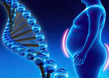 Científicos descubren los genes directamente responsables de la obesidad