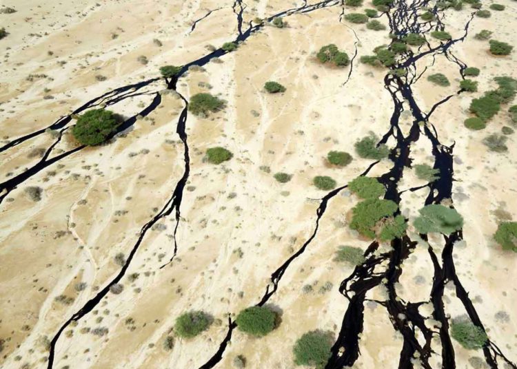 El ecosistema de una reserva natural israelí está por colapsar debido a un derrame de petróleo