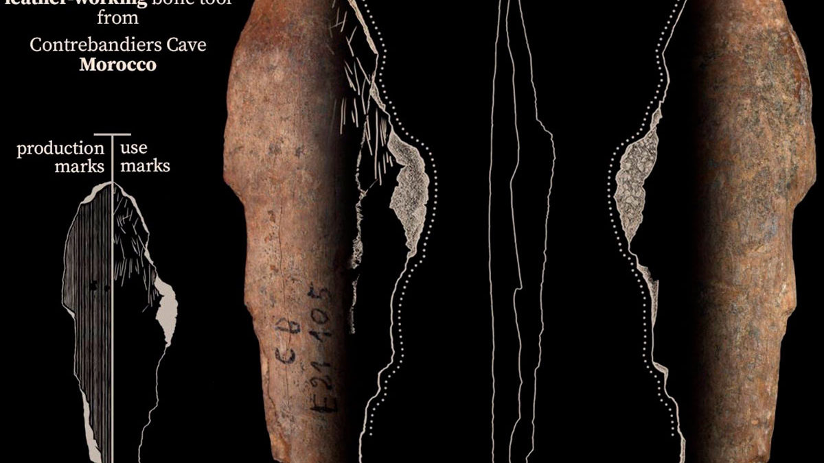 Los arqueólogos descubren que la ropa se inventó hace 120.000 años