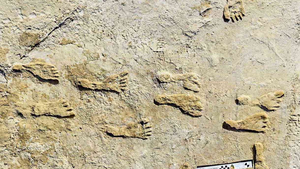 Huellas en Nuevo México de humanos de hace 23.000 años
