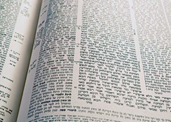 El sabor del Talmud: Profundizando en un caso práctico