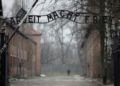 Guía de docentes en Sucia: Halalrpruebas de que el Holocausto no ocurrió