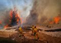Los bomberos luchan contra un incendio forestal cerca de Beit Shemesh