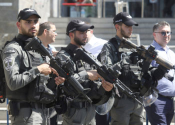 La Policía de Fronteras se unirá a la lucha contra el aumento de la delincuencia en el Néguev