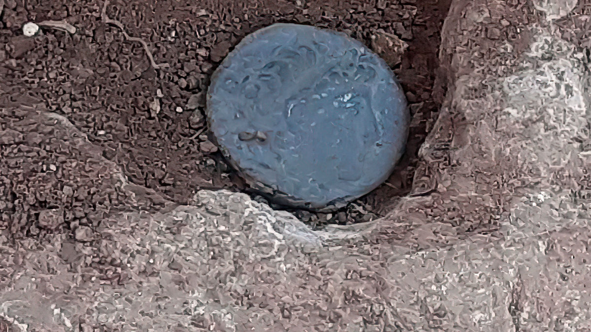 Unos adolescentes encuentran monedas antiguas en Samaria