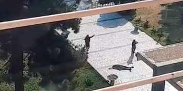Atentado suicida y a tiros en hospital militar en Kabul: 19 muertos