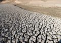 La sequía en Siria pone en peligro el sustento de los agricultores