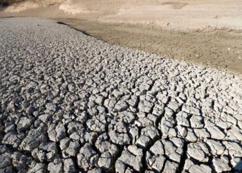 La sequía en Siria pone en peligro el sustento de los agricultores