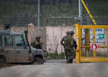Las FDI detienen a dos sospechosos en el Golán por entrar a Israel desde Siria
