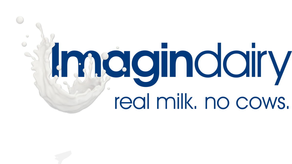 La empresa israelí de productos lácteos no animales Imagindairy, recauda $13 millones