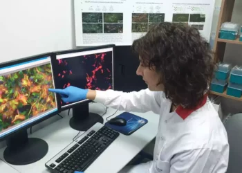 Kadimastem busca cotizar en Nasdaq y obtiene $3,2 millones de ILEX
