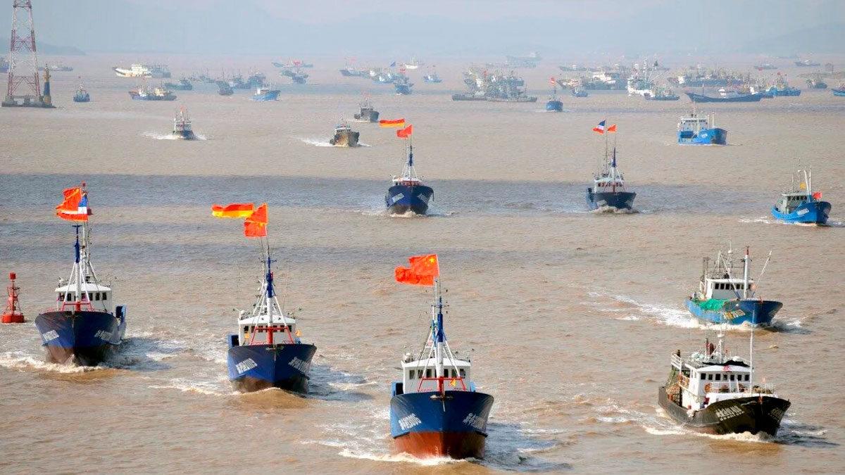 América del Sur pasa por alto la pesca ilegal china bajo su propio riesgo