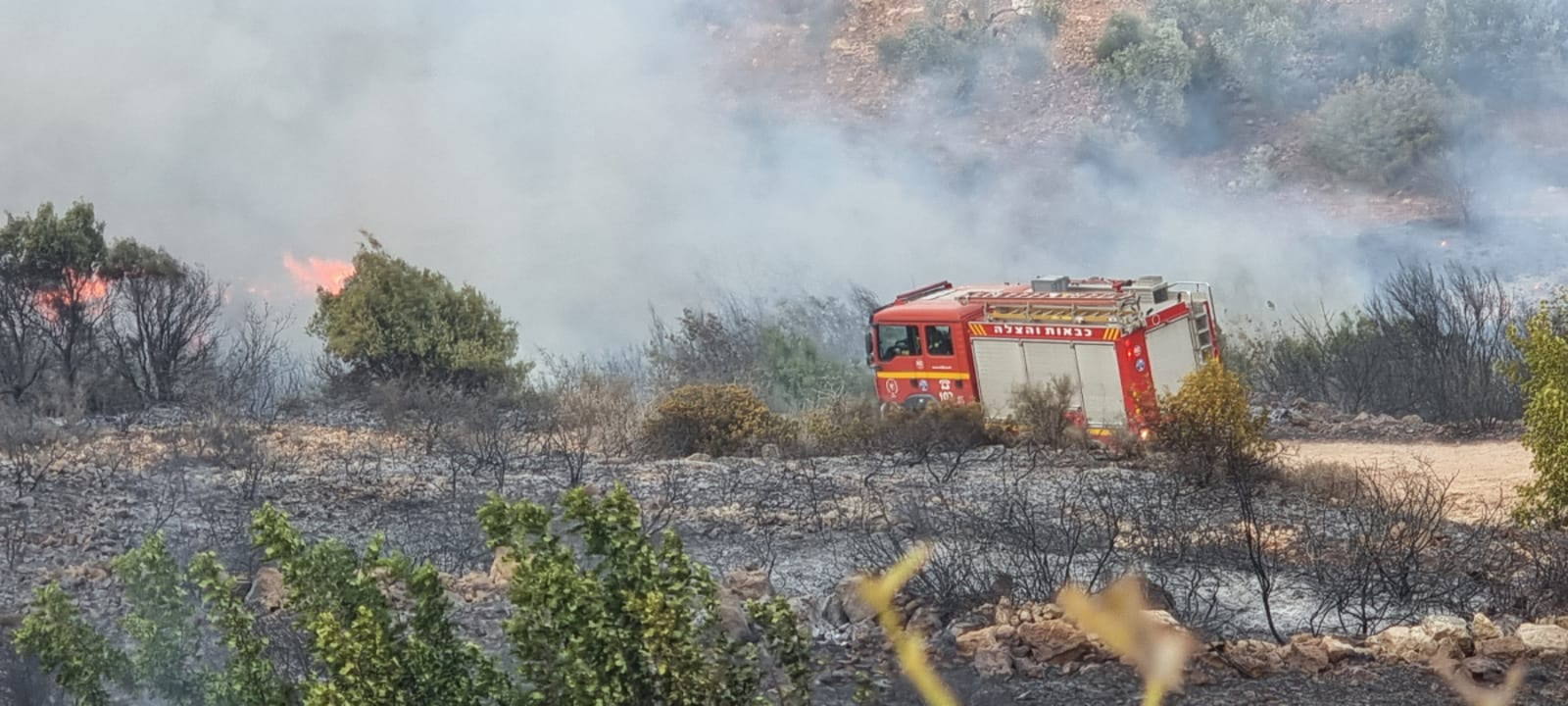 El clima seco en Israel podría provocar incendios forestales devastadores