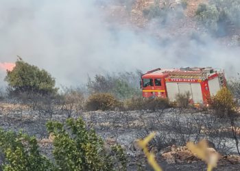 Dos grandes incendios forestales en Israel fueron provocados