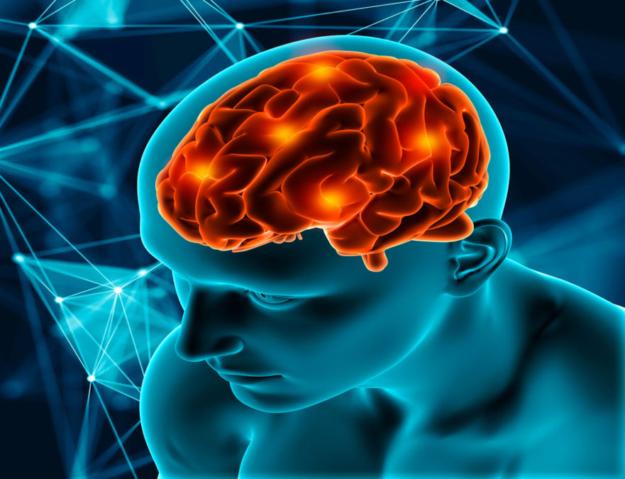 Candidato a fármaco israelí frena la proteína causante del Alzheimer – Estudio