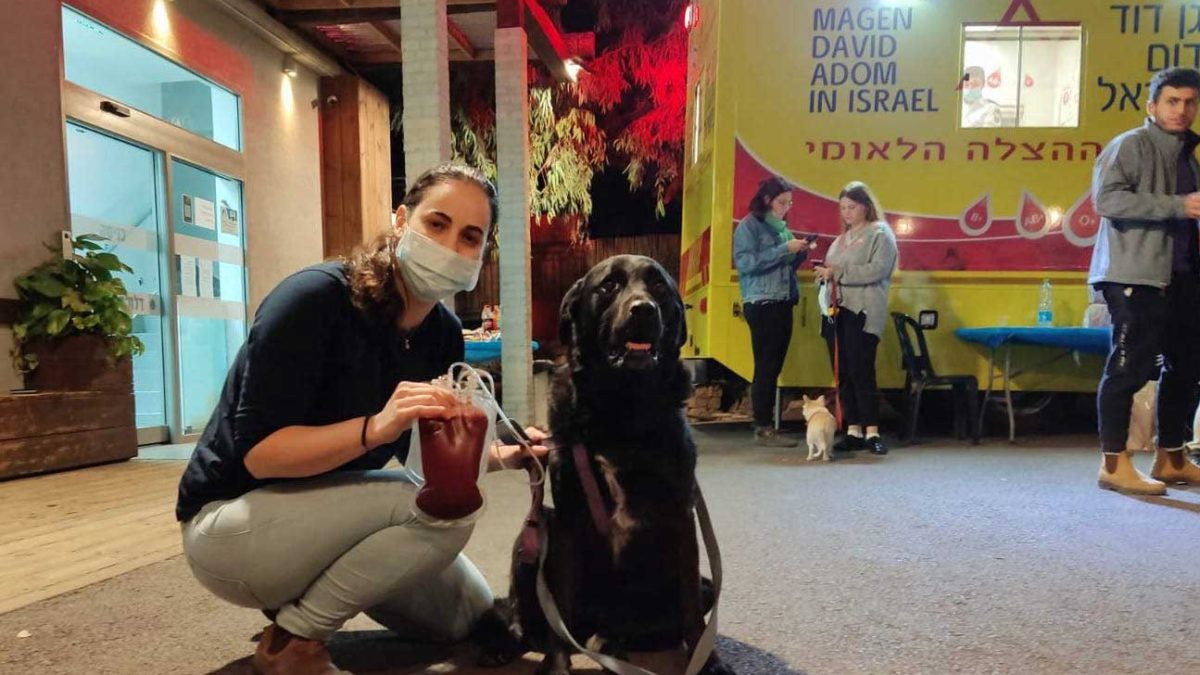Israelíes y sus perros donan sangre en una nueva campaña para reforzar los suministros
