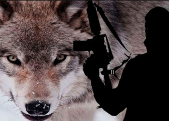 La incitación de la Autoridad Palestina y Hamás inspiró la reciente ola de ataques terroristas