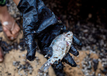 Pescadores planean una demanda colectiva por el vertido de petróleo que empañó las costas de Israel
