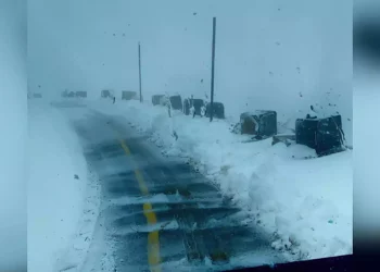 El pico más alto de Israel recibe 15 centímetros de nieve