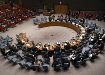 Los Emiratos Árabes Unidos y otros cuatro países se unen al Consejo de Seguridad de la ONU
