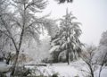 La nieve se acumula en Los Altos del Golán