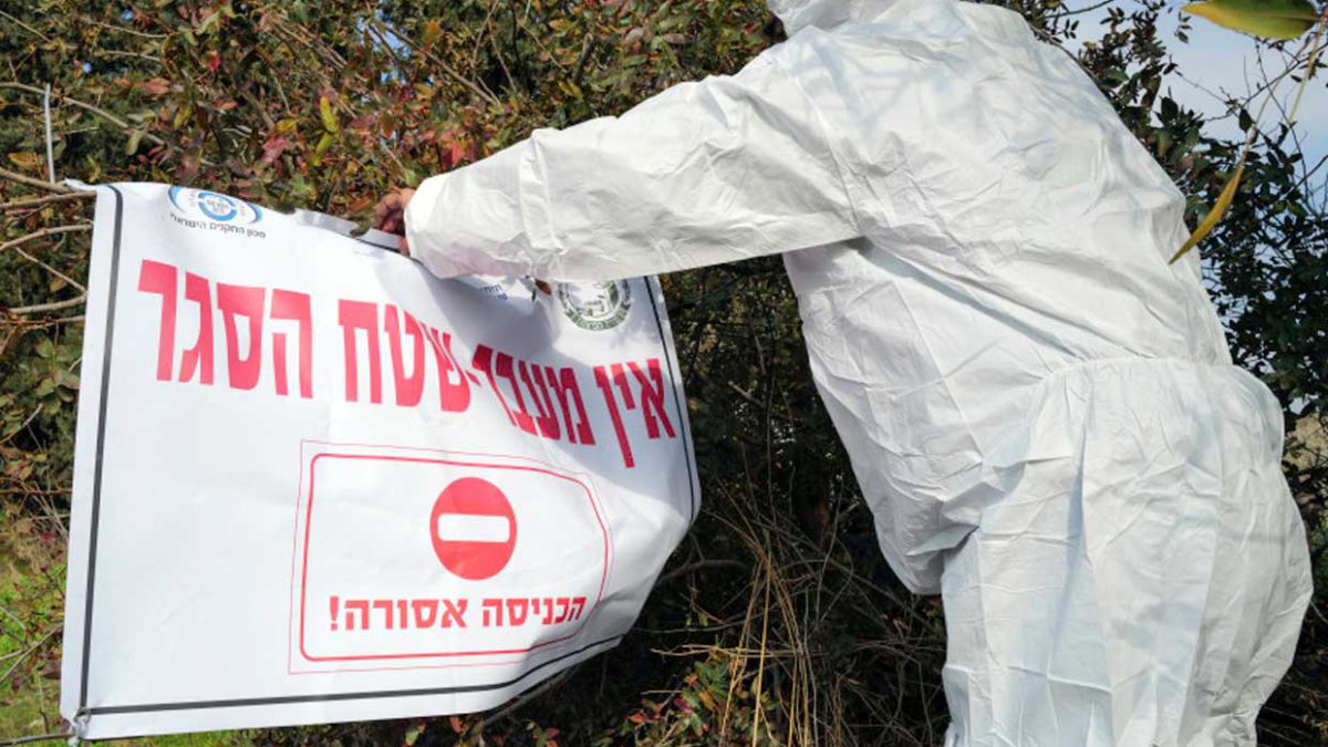 Gripe aviar en Israel: 107 mil pavos infectados en el quinto brote de esta semana