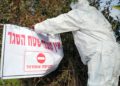 Gripe aviar en Israel: 107 mil pavos infectados en el quinto brote de esta semana