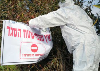 Gripe aviar en Israel: 107 mil pavos infectados en el quinto brote de esta semana