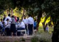 Israel plantará 450 mil árboles urbanos para contrarrestar el aumento del calor