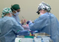 Cirujanos trasplanta con éxito dos riñones de cerdo a un humano