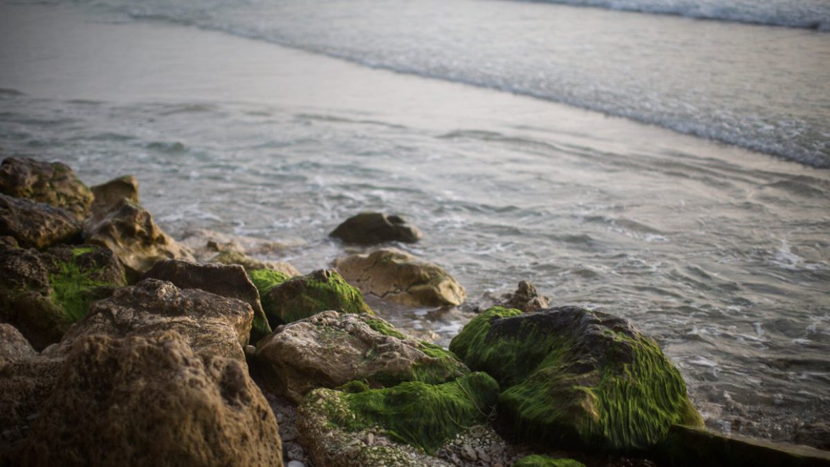 Aparece un esqueleto humano en la costa de Herzliya: la policía investiga