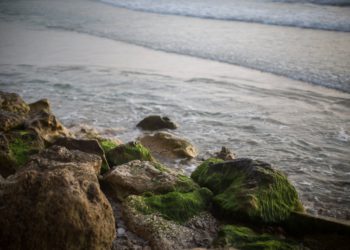Aparece un esqueleto humano en la costa de Herzliya: la policía investiga