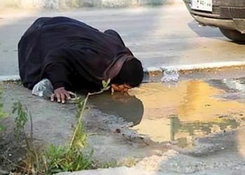 https://www.mei.edu/publications/high-price-irans-anti-israel-policies
