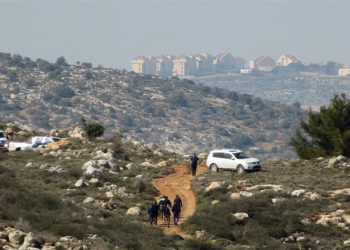 Árabes destruyen cientos de plantones en la región de Binyamin