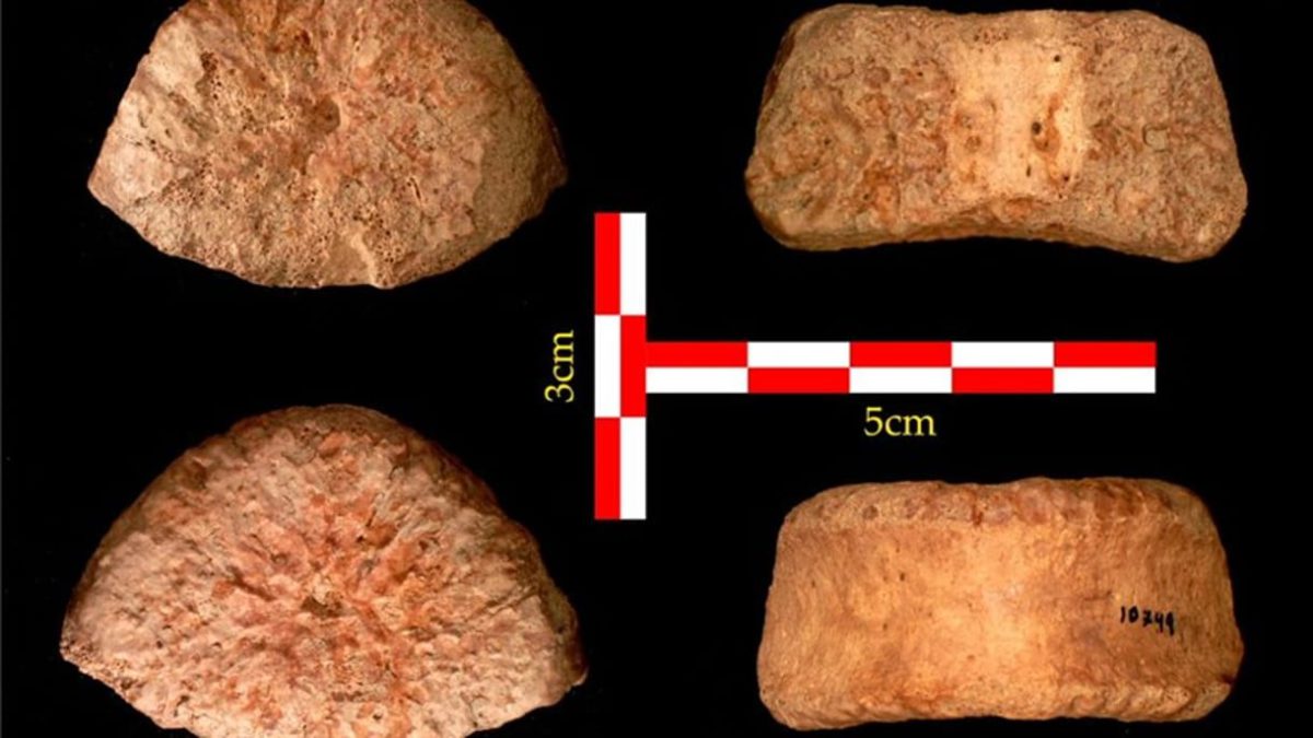 Desenterrados en el Valle del Jordán los restos humanos más antiguos descubiertos en Israel
