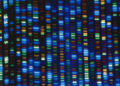 Científicos terminan de descifrar todo el genoma humano